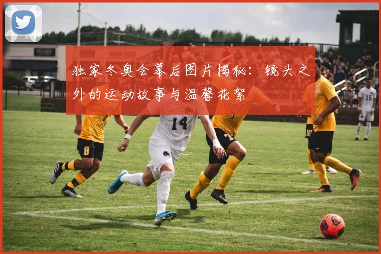 独家冬奥会幕后图片揭秘：镜头之外的运动故事与温馨花絮