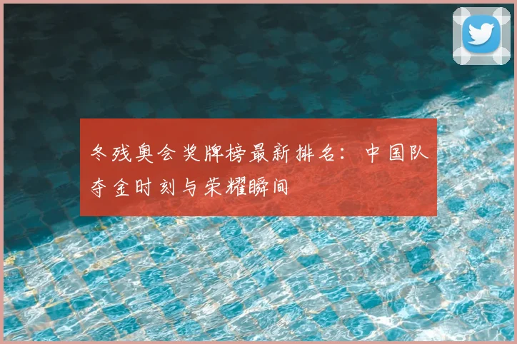 冬残奥会奖牌榜最新排名：中国队夺金时刻与荣耀瞬间